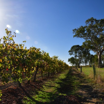 Autumn morning at Majella