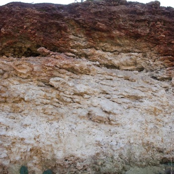 coonawarra soil profile 2