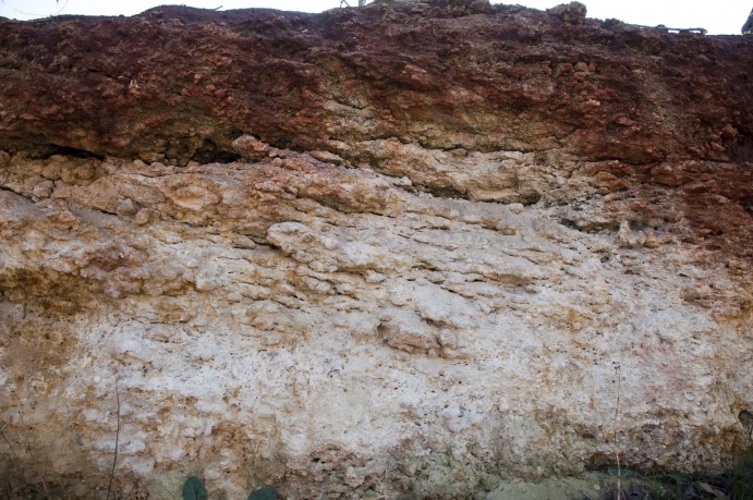 coonawarra soil profile 2